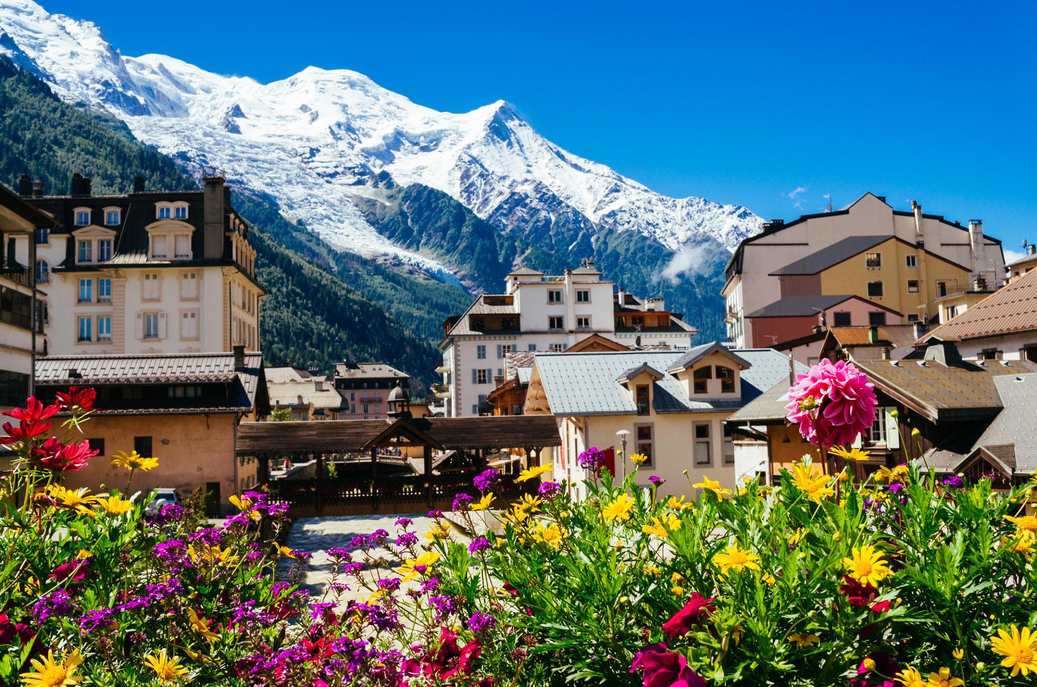 Chamonix and the snow-capped Mont Blanc behind summer flowers